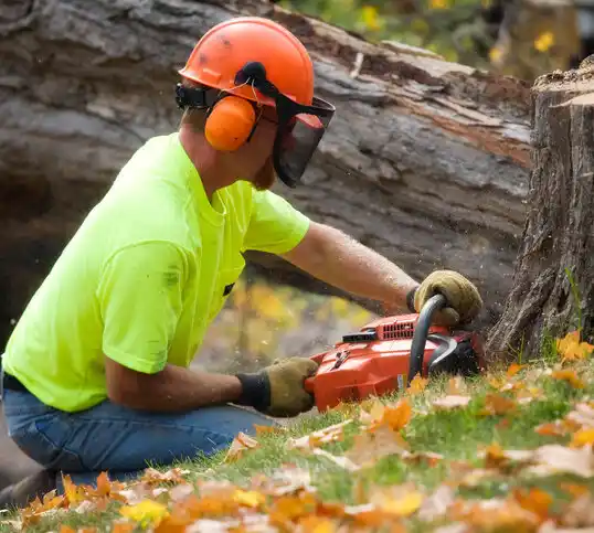 tree services Pine Prairie